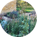 The Active Magazine | Stamford & Rutland |Story Two