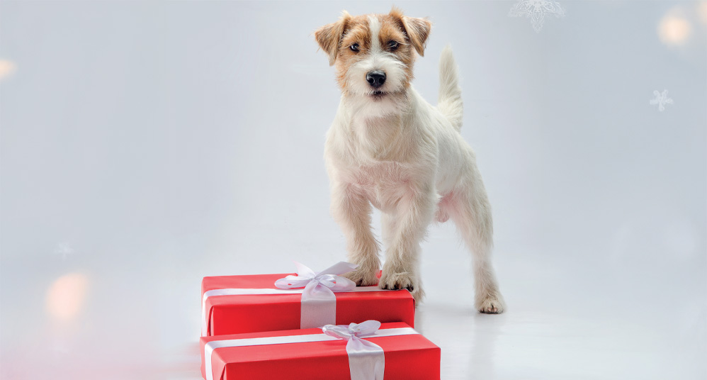 The Active Magazine | Stamford & Rutland | Main Image